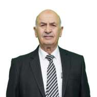 Ahmed Bashi